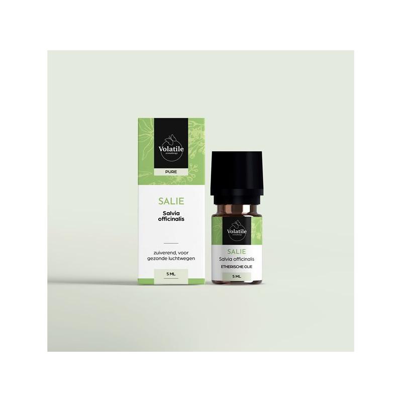 Salie officinalis