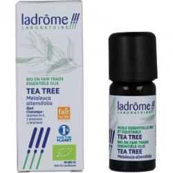 melaleuca alternifolia tea tre