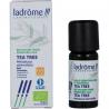 melaleuca alternifolia tea tre
