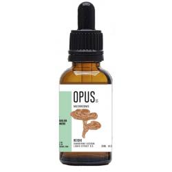 Reishi 2:1 bio