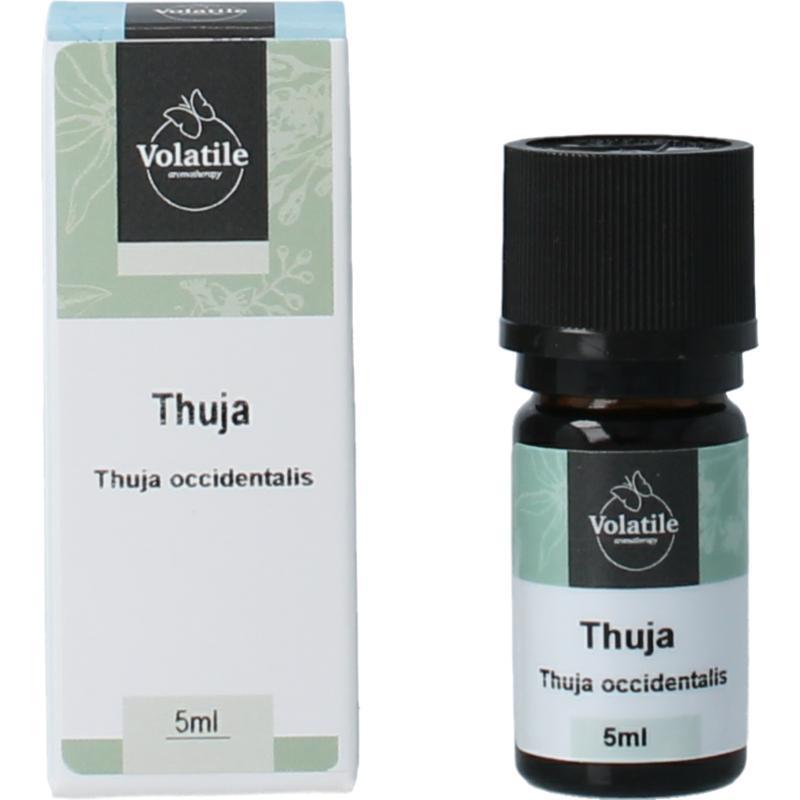 Thuja