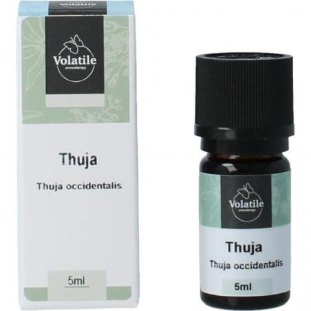 Thuja