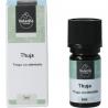 Thuja