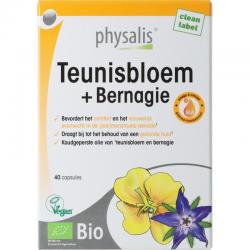 Physalis physalis teunisbloem + bernagi