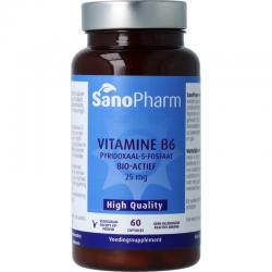 SanoPharm high quality vitamine b6