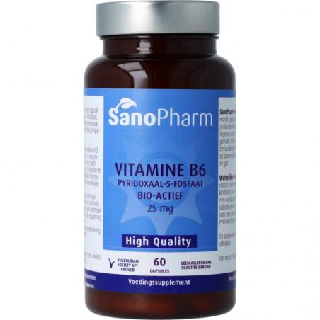 SanoPharm high quality vitamine b6