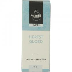 Herfst gloed voorheen herfst wintermix