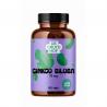 Cruydhof ginkgo biloba