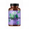 Cruydhof boswellia serrata extract 5:1