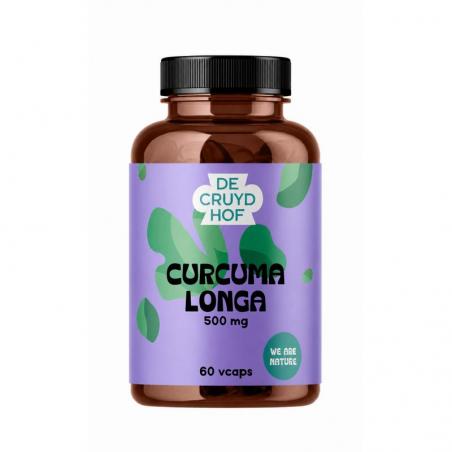 Cruydhof curcuma longa
