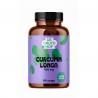 Cruydhof curcuma longa