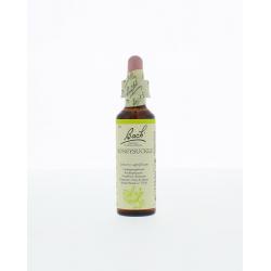 Honeysuckle/kamperfoelie
