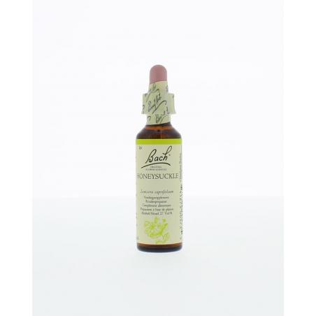 Honeysuckle/kamperfoelie