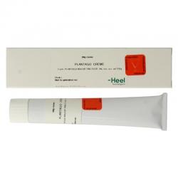 Plantago creme