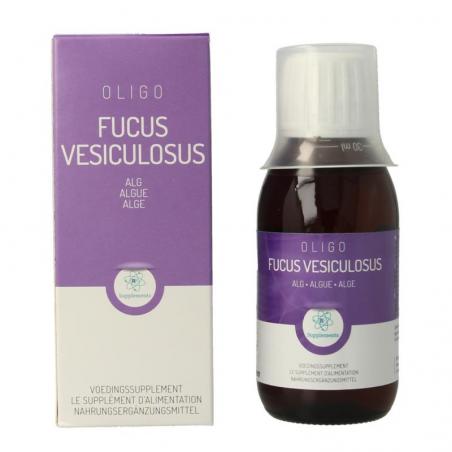 Fucus vesiculosus
