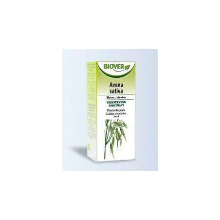 Avena sativa tinctuur bio