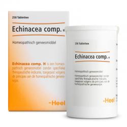 Echinacea compositum H